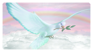 DSC700 116 D PK Dove Clouds Pink